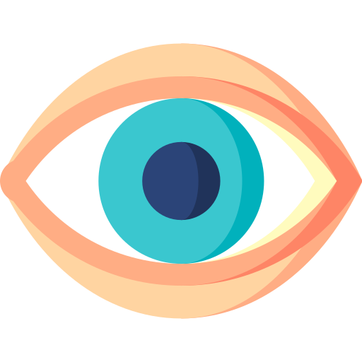 vision image